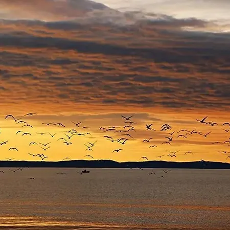 Olimp 아파트 Metković