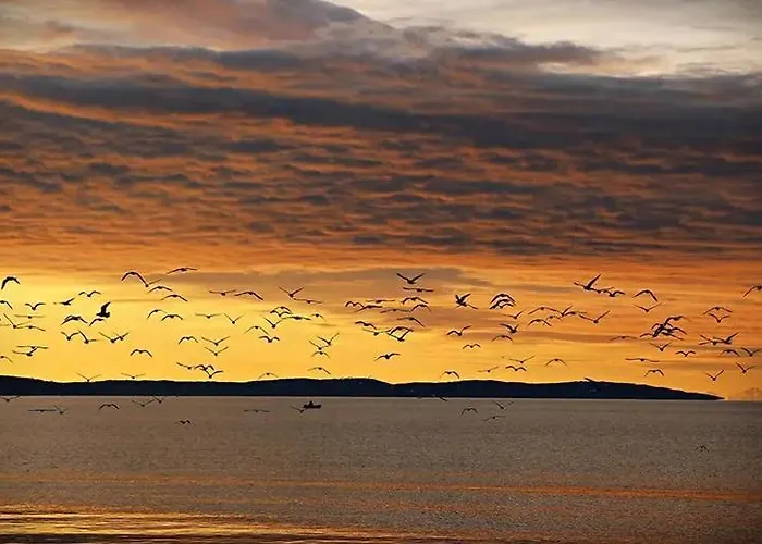 Olimp شقة Metković